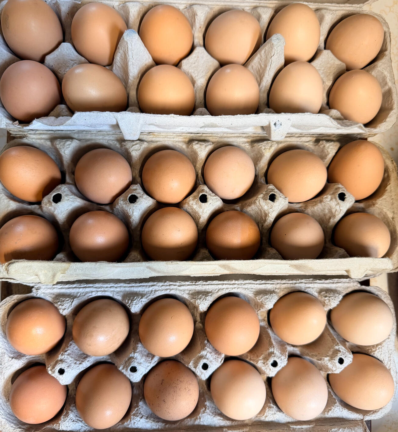 Pasture Raised Eggs